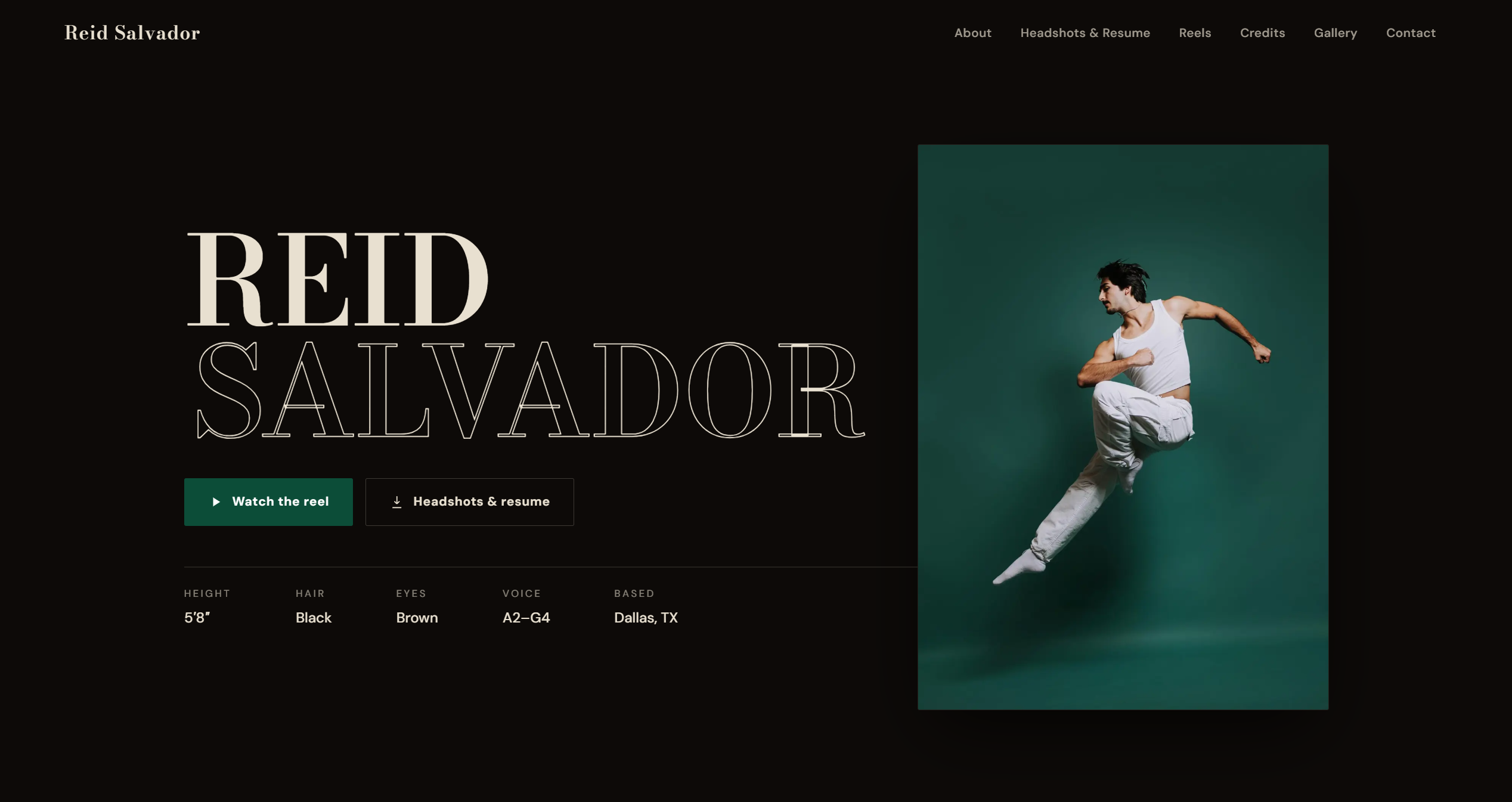 Reid Salvador's Hero Page
